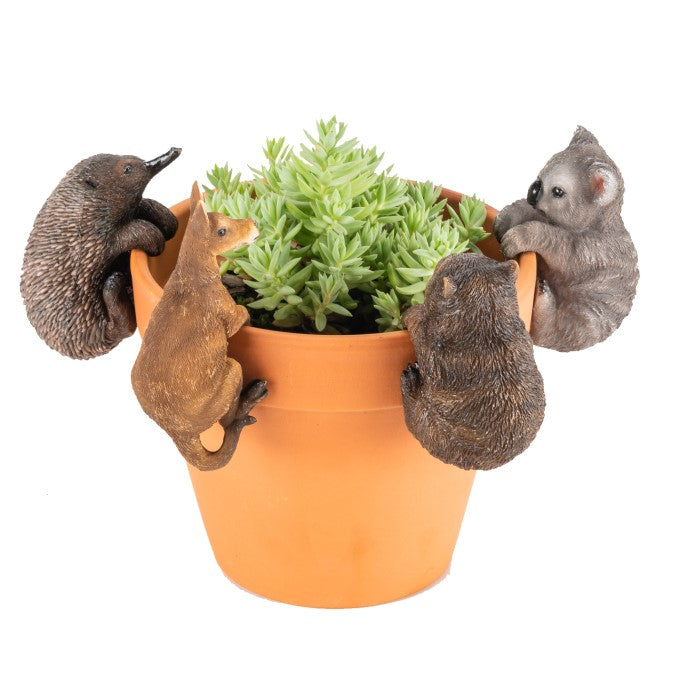 AUSSIE ANIMAL POT SITTERS