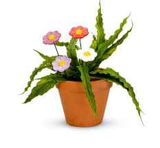 FLOWER SPIKE COLOUR CERAMIC