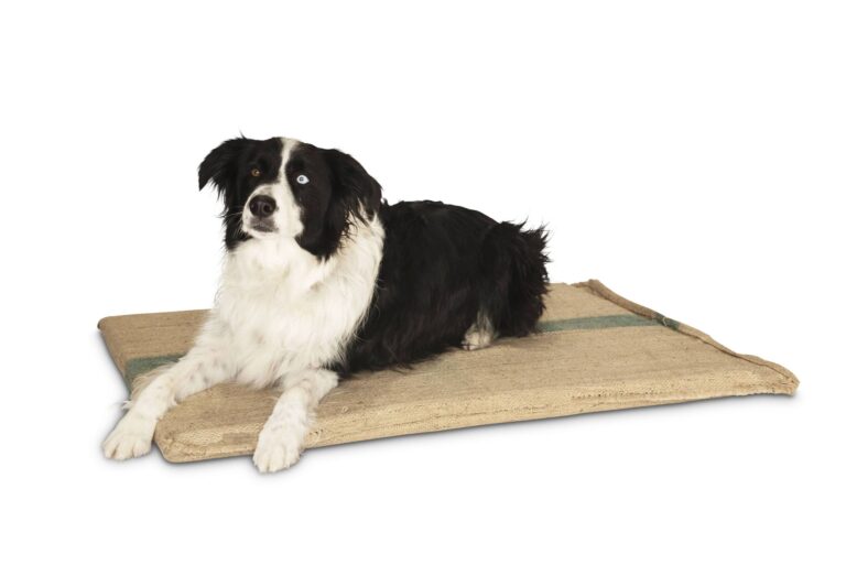 HESSIAN DOG MAT MEDIUM