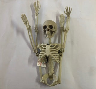 SKELETON POSABLE 60X14X7CM