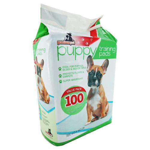 PUPPY TRAINING PADS 100PC 60X60CM