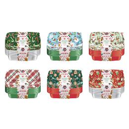 XMAS TAKEAWAY CONTAINERS 10PK 850ML