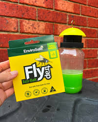 FLY TRAP BAIT SINGLE