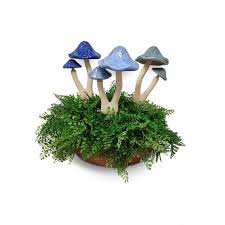 MUSHROOM CERAMIC BLUE SML ASST