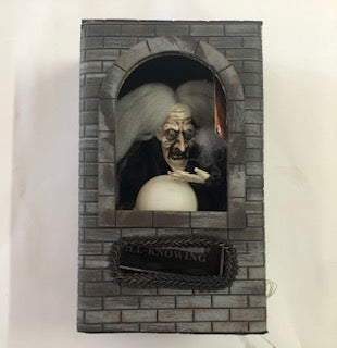 ANIMATED FORTUNE TELLER WITCH