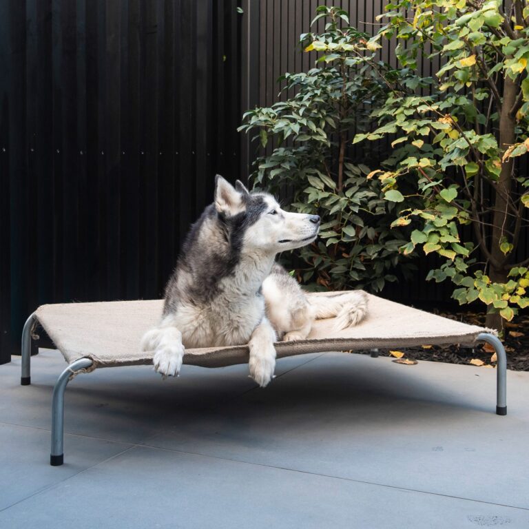 HESSIAN DOG BED MEDIUM