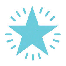 MERIT STAMP STAR