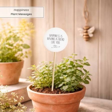 PLANT MESSAGE HOME GROWN FRIEND