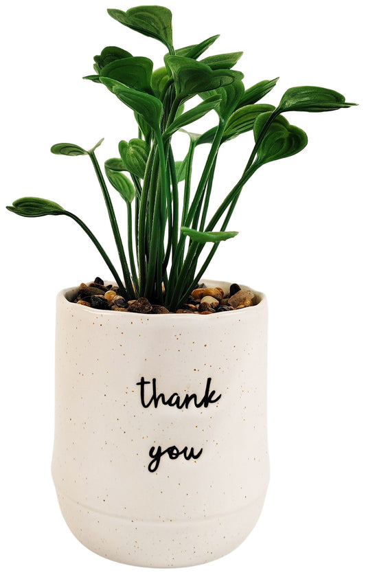 THANK YOU POTTED PLANT