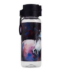 WATER BOTTLE BIG 650ML MYSTIC