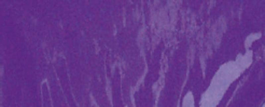 CELLO WRAP 50X70CM 2PK PURPLE