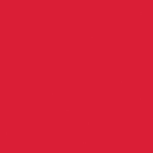 NAPKINS 20PK RED