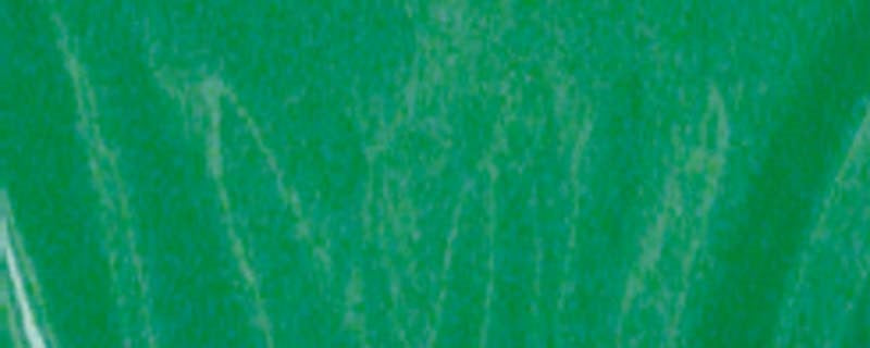 CELLO WRAP 2 SHEETS GREEN