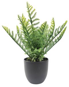 FERN PLANT GREEN 29CM