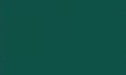 TISSUE PAPER 5 SHEETS GREEN