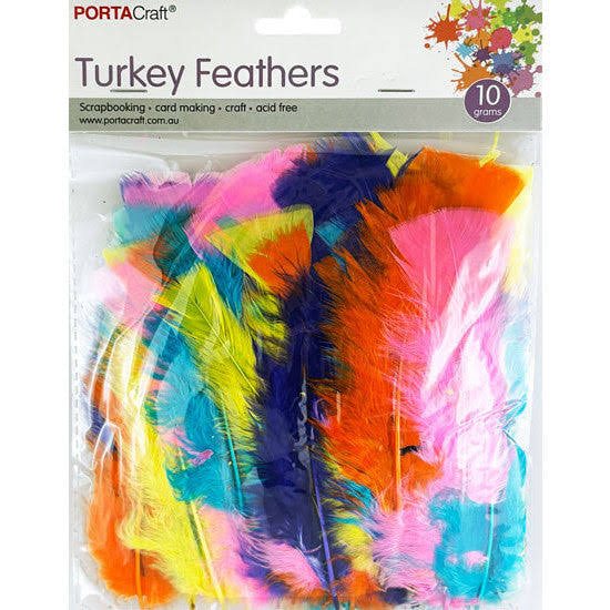 FEATHERS TURKEY NEON