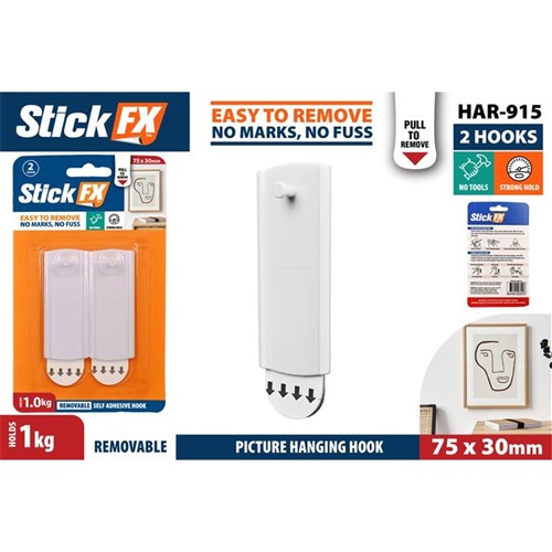 PICTURE HANGING HOOK 1KG 2PC