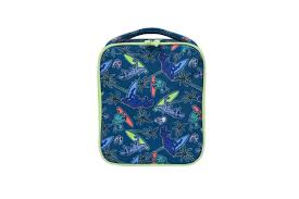 LUNCH BOX OUT & ABOUT DINO