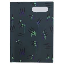 A4 BOOKCOVER RAPTOR RAMPAGE 2
